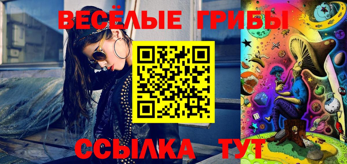 Тверь  Галлюциногенные грибы Psilocybine cubensis  Псилоцибиновые грибы Cubensis  Вход с VPN 